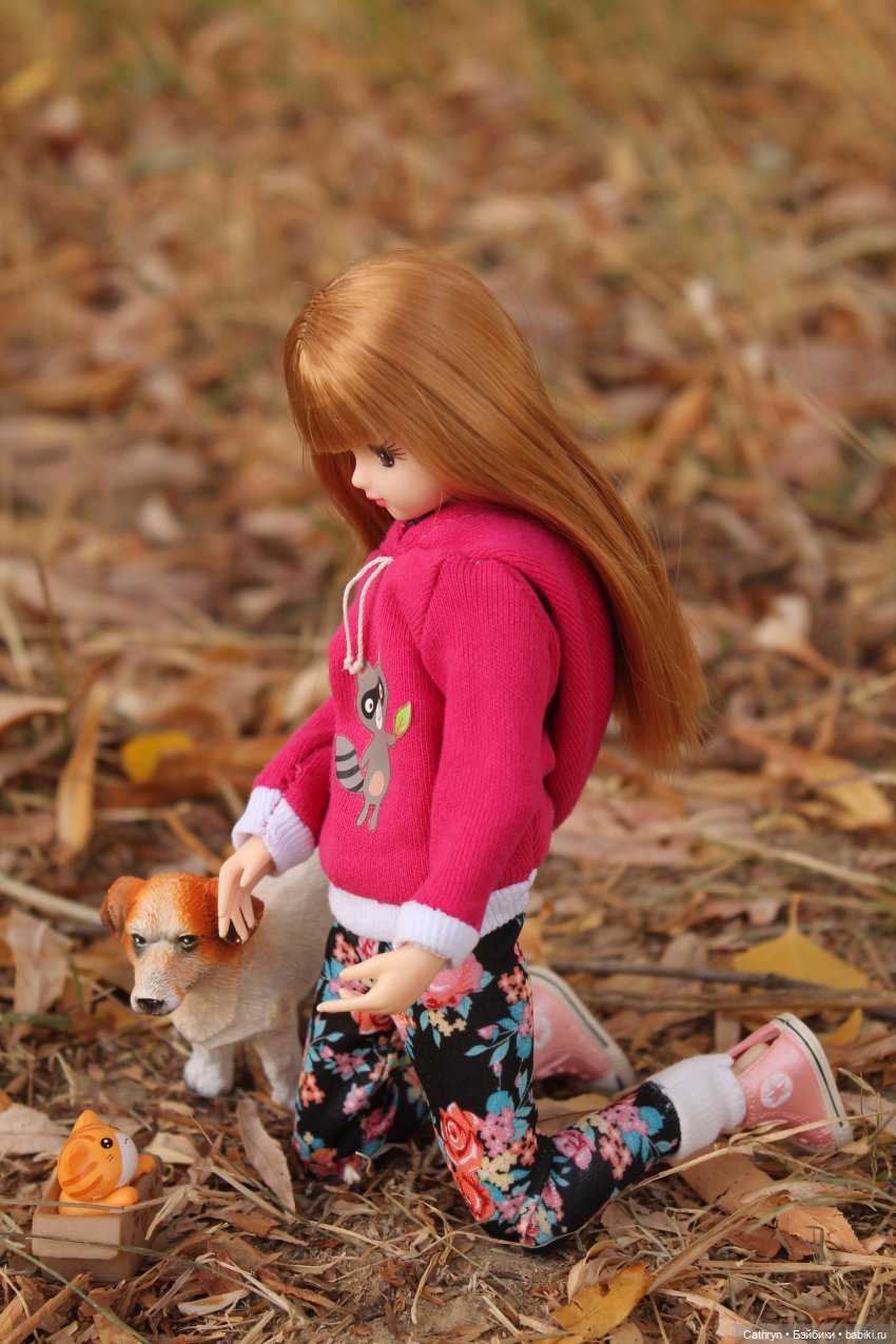 Мэй и осень — Куклы Takara Tomy (Такара): Licca (Ликка) (фото 10)
