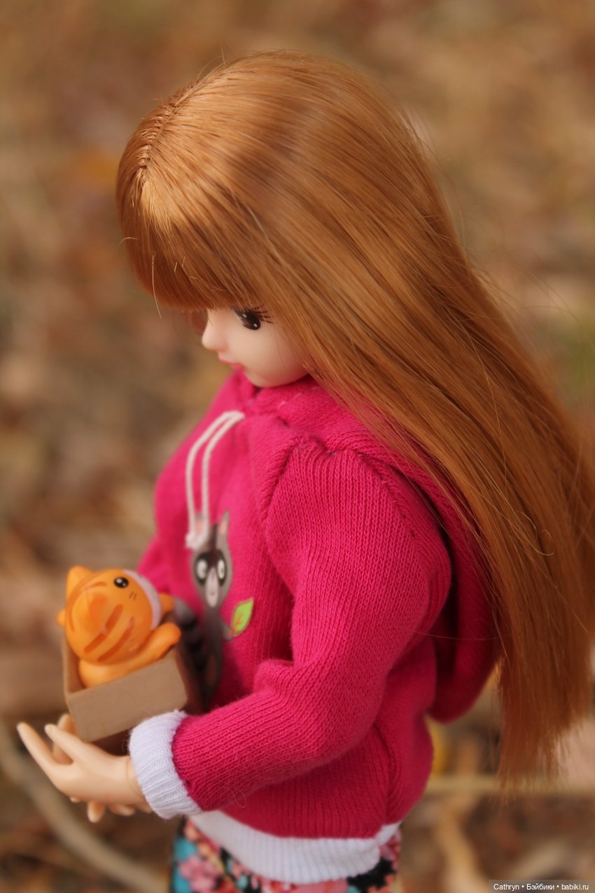 Мэй и осень — Куклы Takara Tomy (Такара): Licca (Ликка)