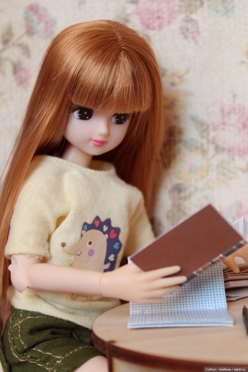 Мэй. Рыжий помощник — Куклы Takara Tomy (Такара): Licca (Ликка) (фото 9)
