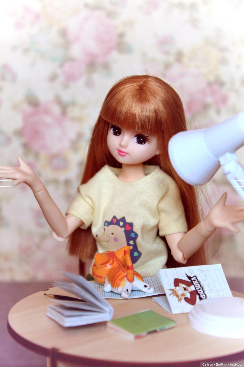 Мэй. Рыжий помощник — Куклы Takara Tomy (Такара): Licca (Ликка)