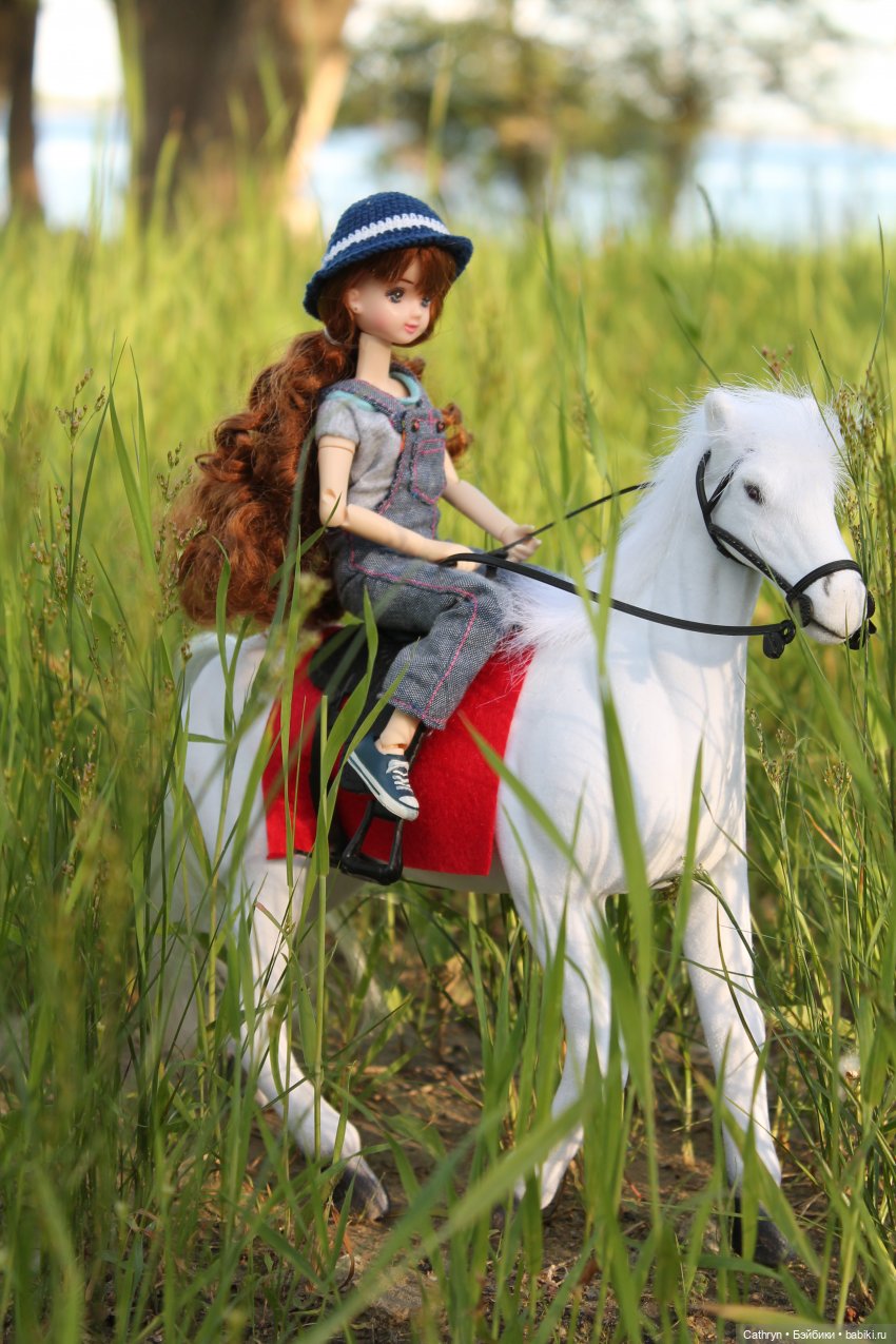 Мэй. Конный лагерь — Куклы Takara Tomy (Такара): Licca (Ликка)