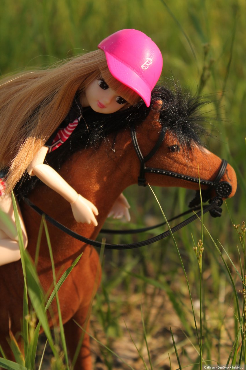 Мэй. Конный лагерь — Куклы Takara Tomy (Такара): Licca (Ликка)