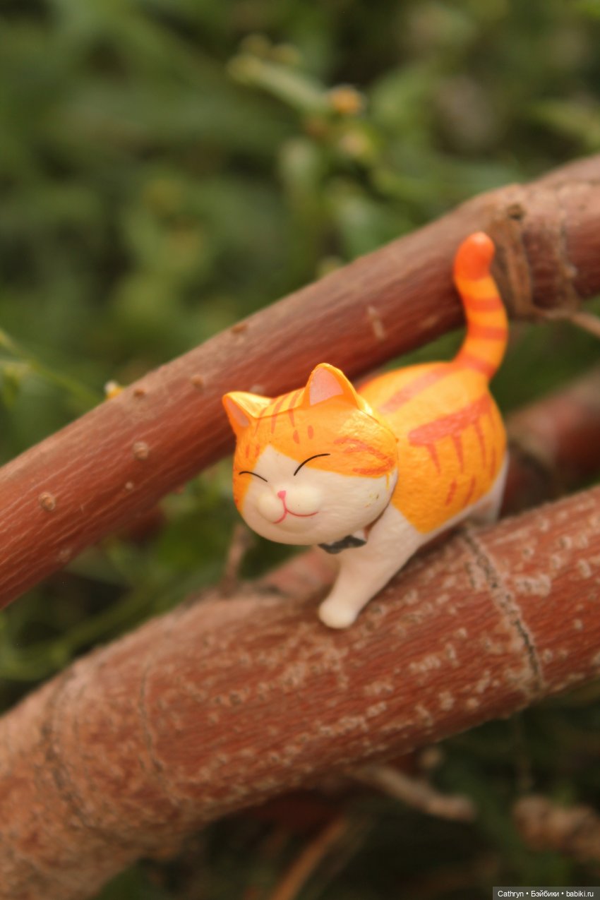 Сон Мэй. Алиса в стране Чудес (фото 8)