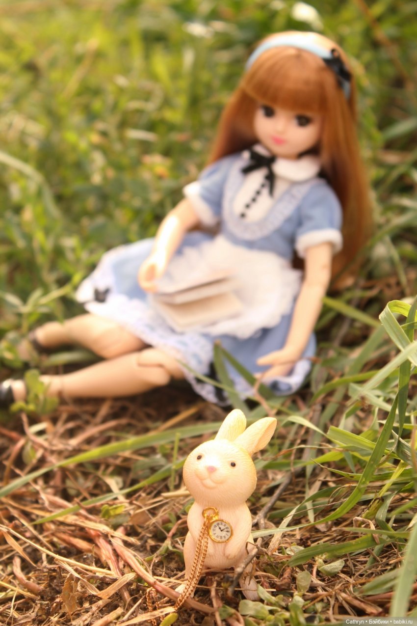 Сон Мэй. Алиса в стране Чудес (фото 3)