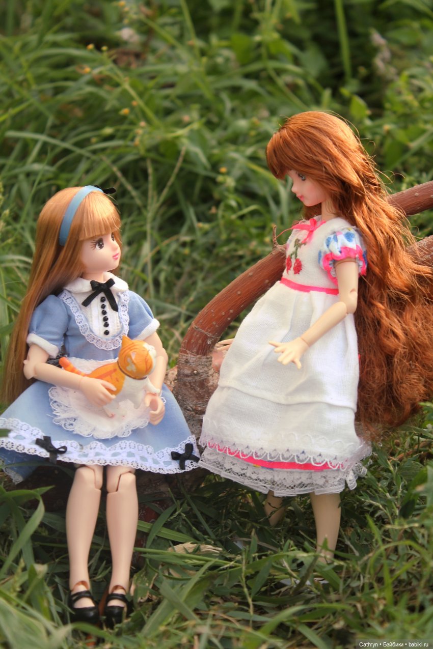 Сон Мэй. Алиса в стране Чудес