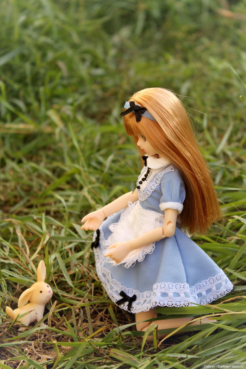 Сон Мэй. Алиса в стране Чудес