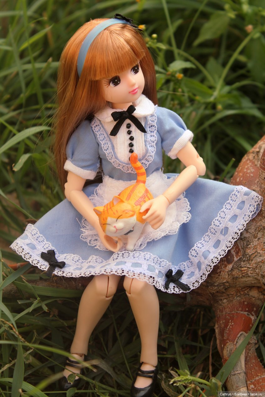 Сон Мэй. Алиса в стране Чудес