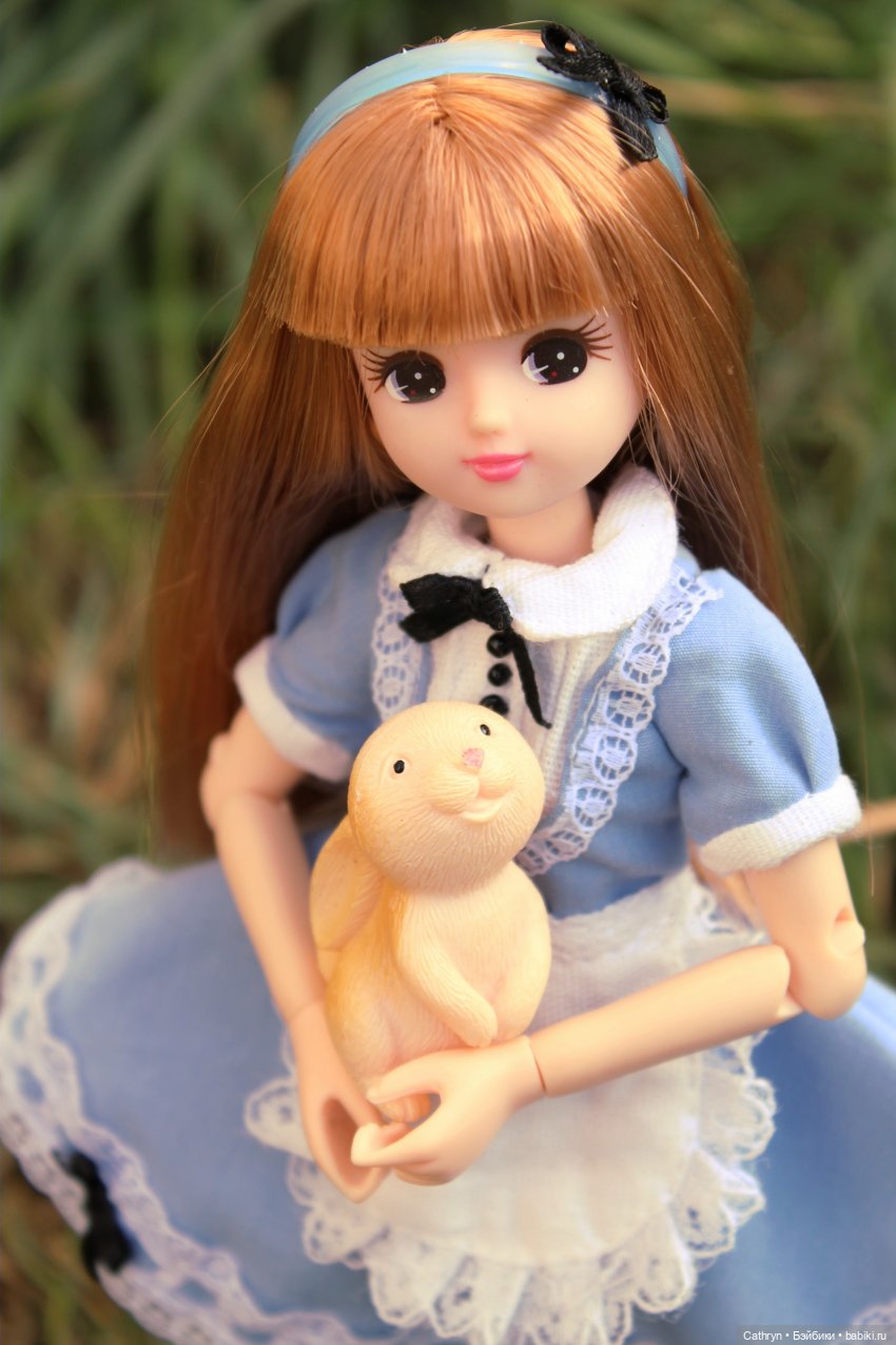 Сон Мэй. Алиса в стране Чудес