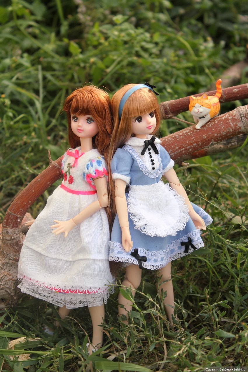 Сон Мэй. Алиса в стране Чудес