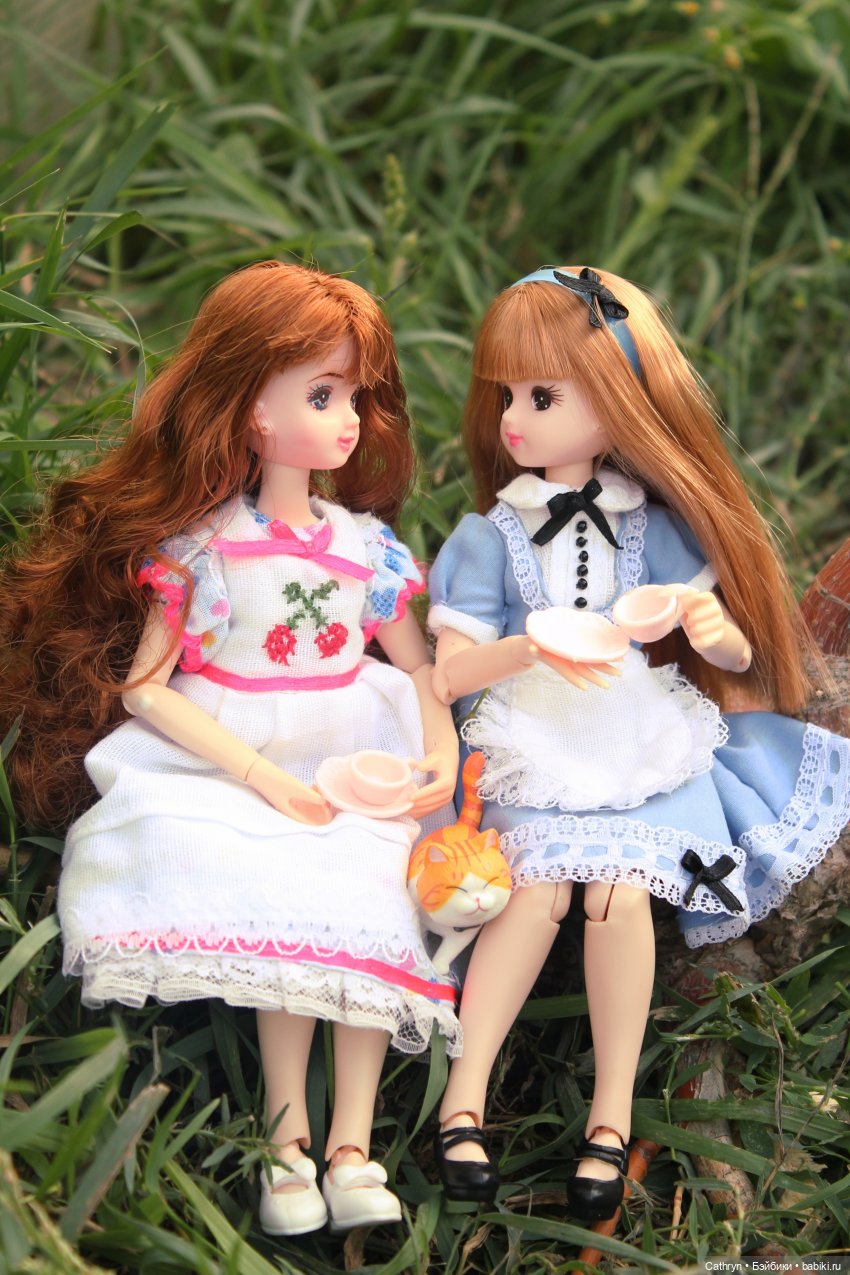 Сон Мэй. Алиса в стране Чудес