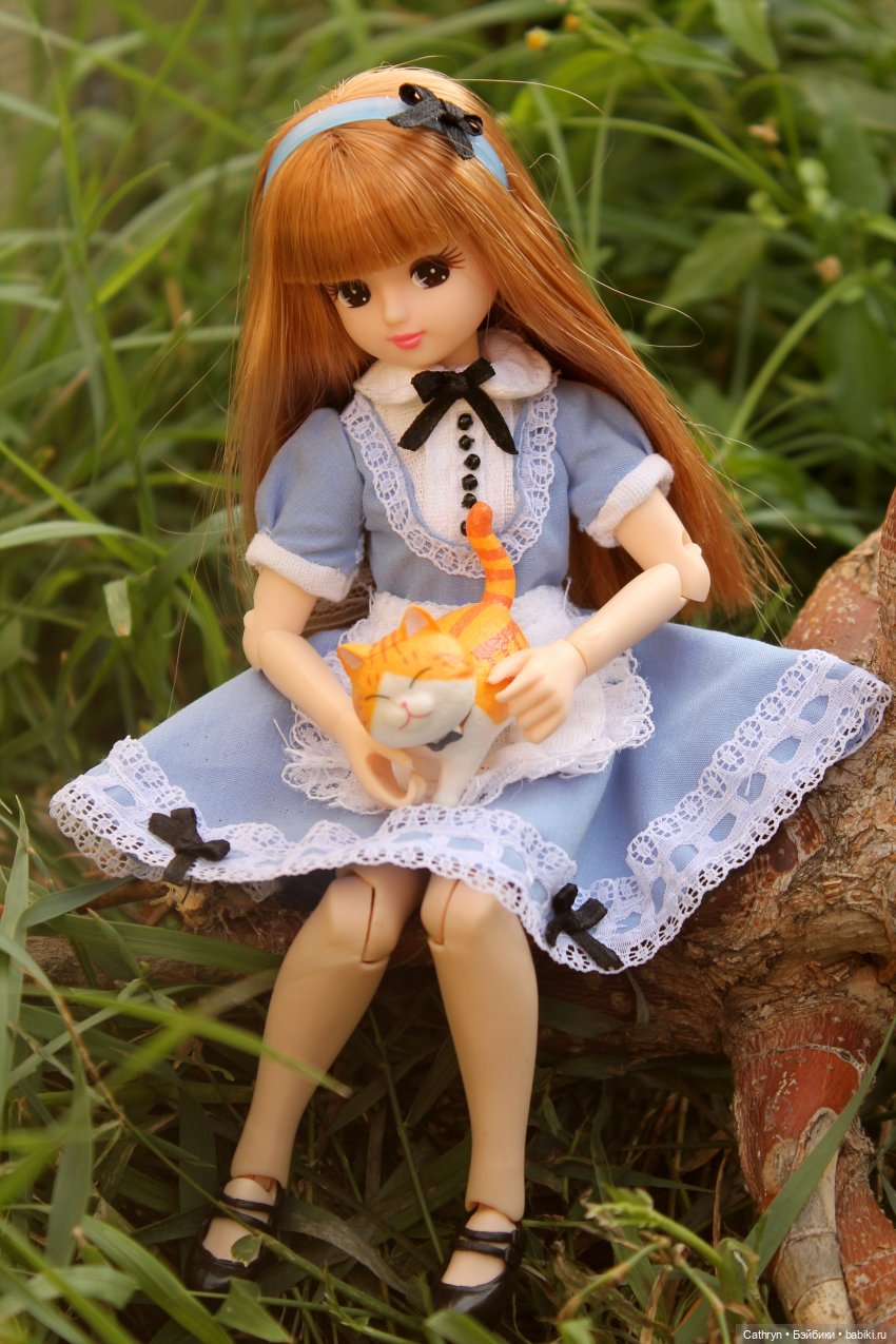 Сон Мэй. Алиса в стране Чудес