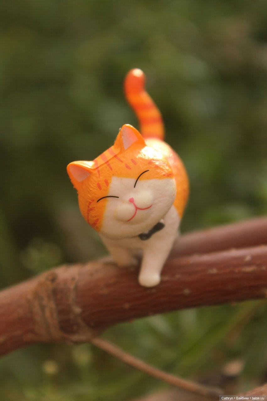 Сон Мэй. Алиса в стране Чудес