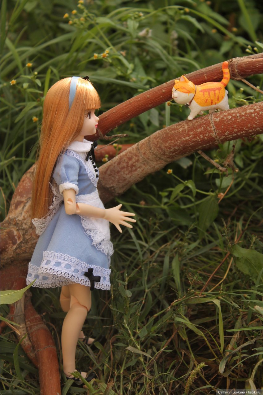 Сон Мэй. Алиса в стране Чудес (фото 9)