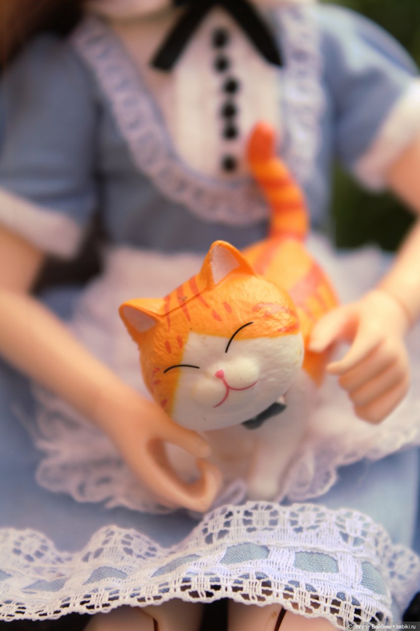 Сон Мэй. Алиса в стране Чудес