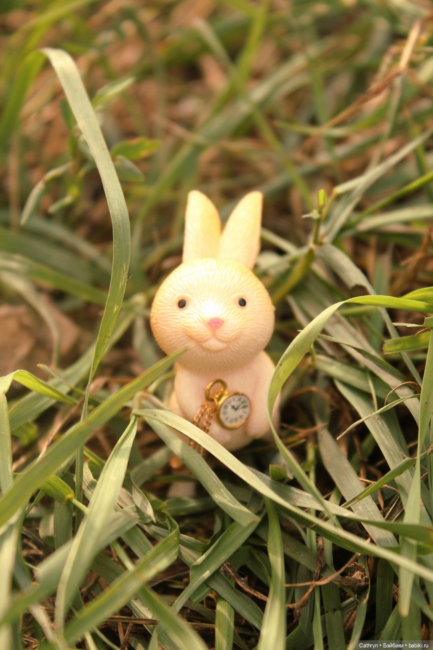 Сон Мэй. Алиса в стране Чудес (фото 4)