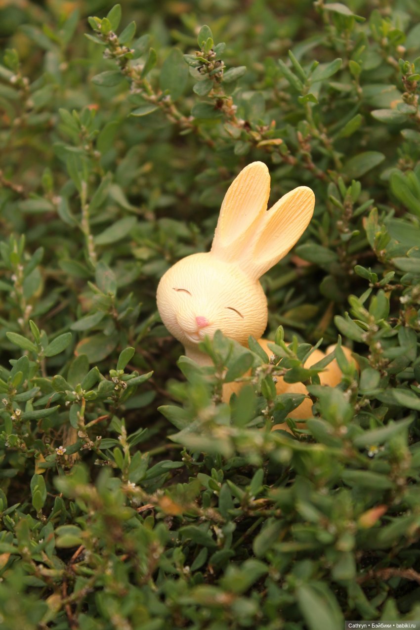 Сон Мэй. Алиса в стране Чудес (фото 6)