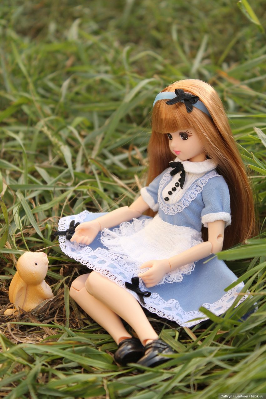 Сон Мэй. Алиса в стране Чудес