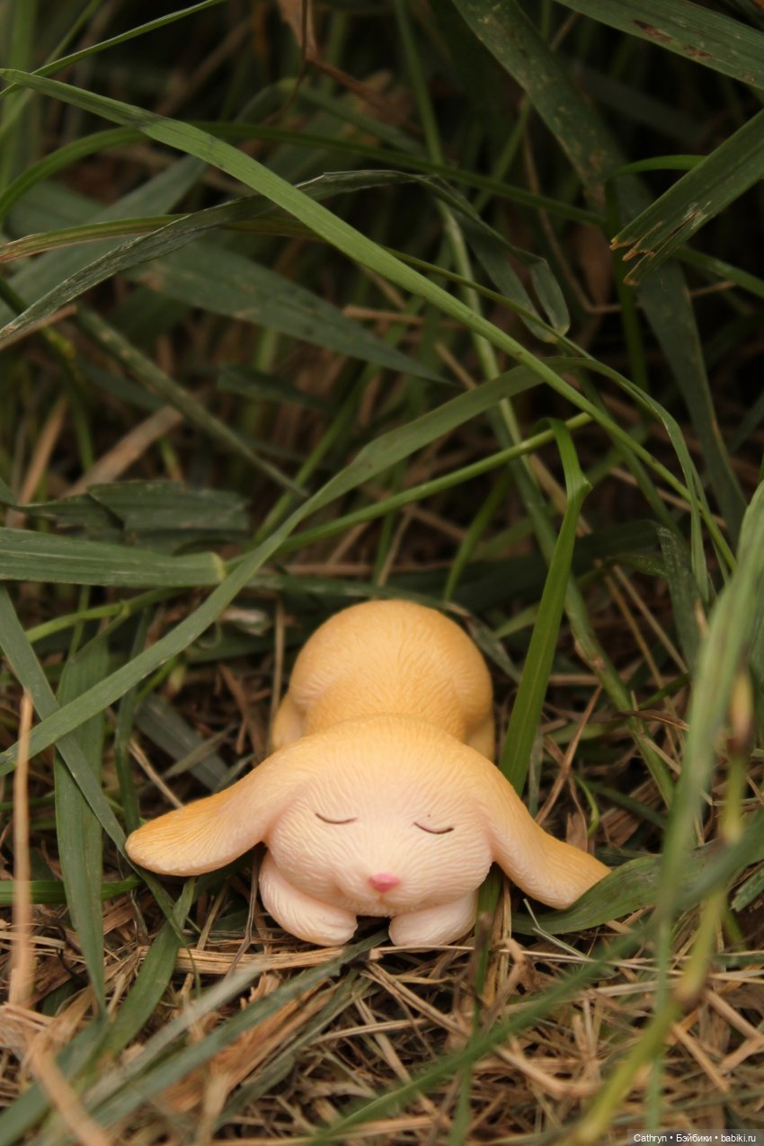 Сон Мэй. Алиса в стране Чудес