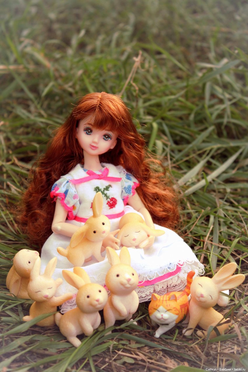 Сон Мэй. Алиса в стране Чудес