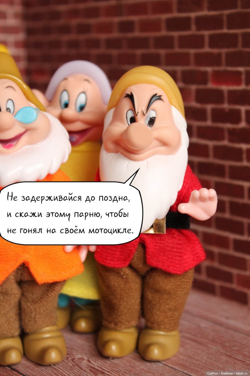 Принцесса и хулиган: гномы. (10) | Бэйбики Принцесса и хулиган: гномы. (10) (фото 8)