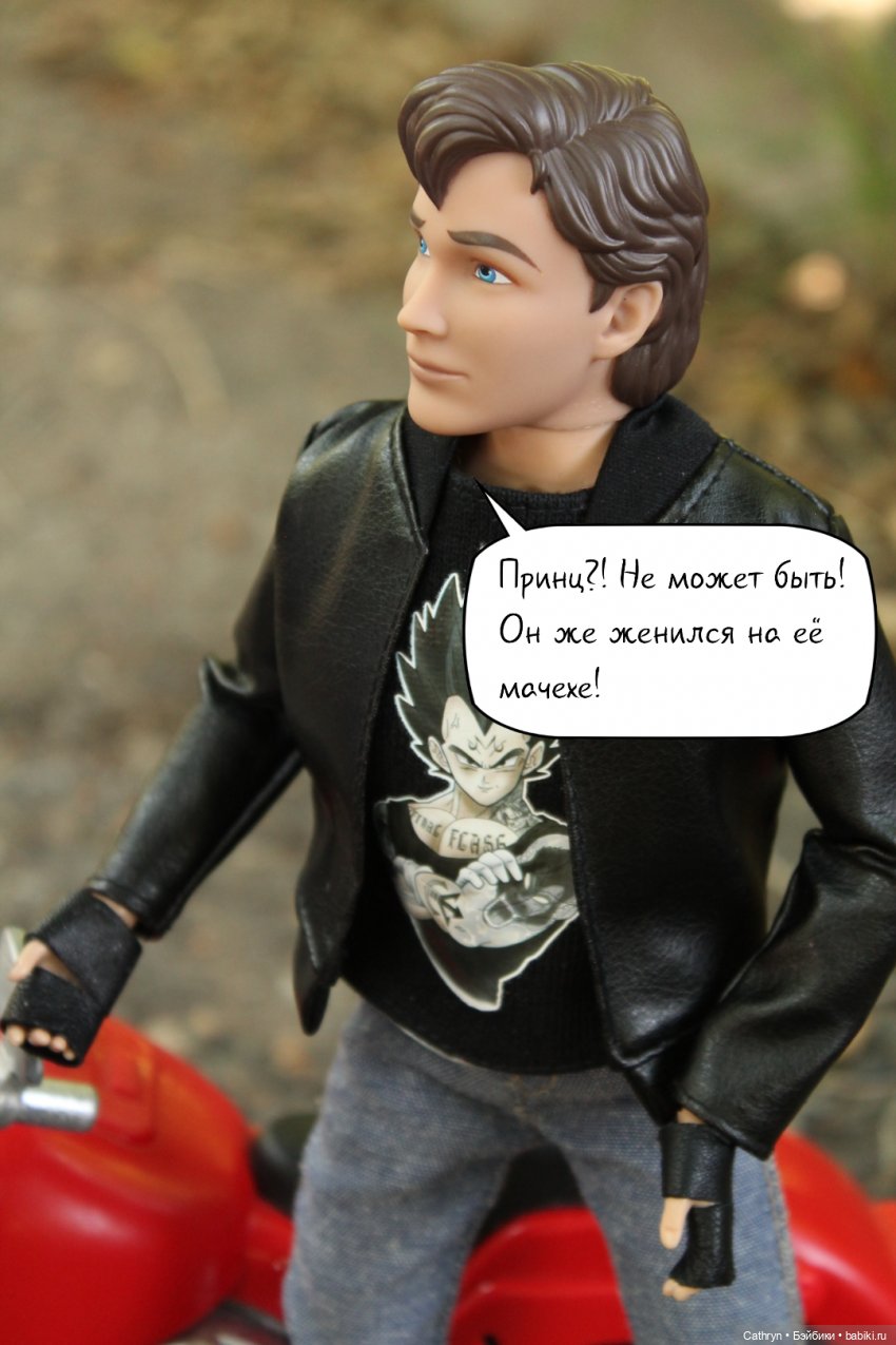 Принцесса и хулиган: принц (15) (фото 4)