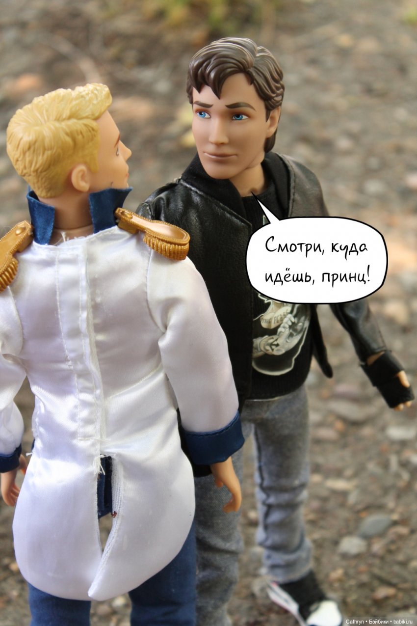 Принцесса и хулиган: принц (15) (фото 7)