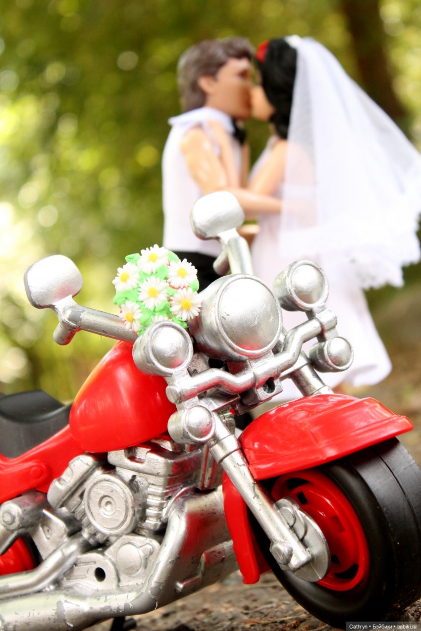 Принцесса и хулиган. Свадьба💕