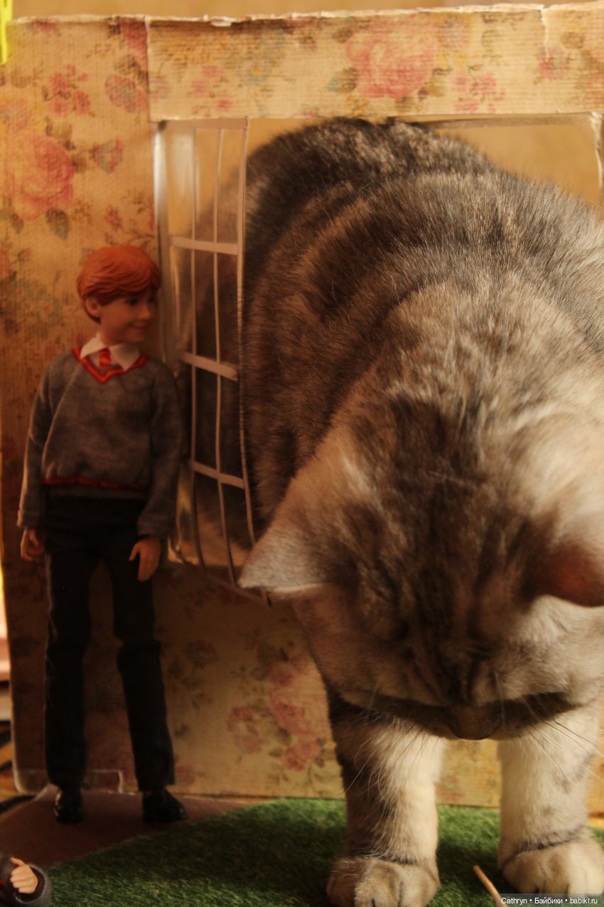 Изучение магических существ или подарок для Джинни