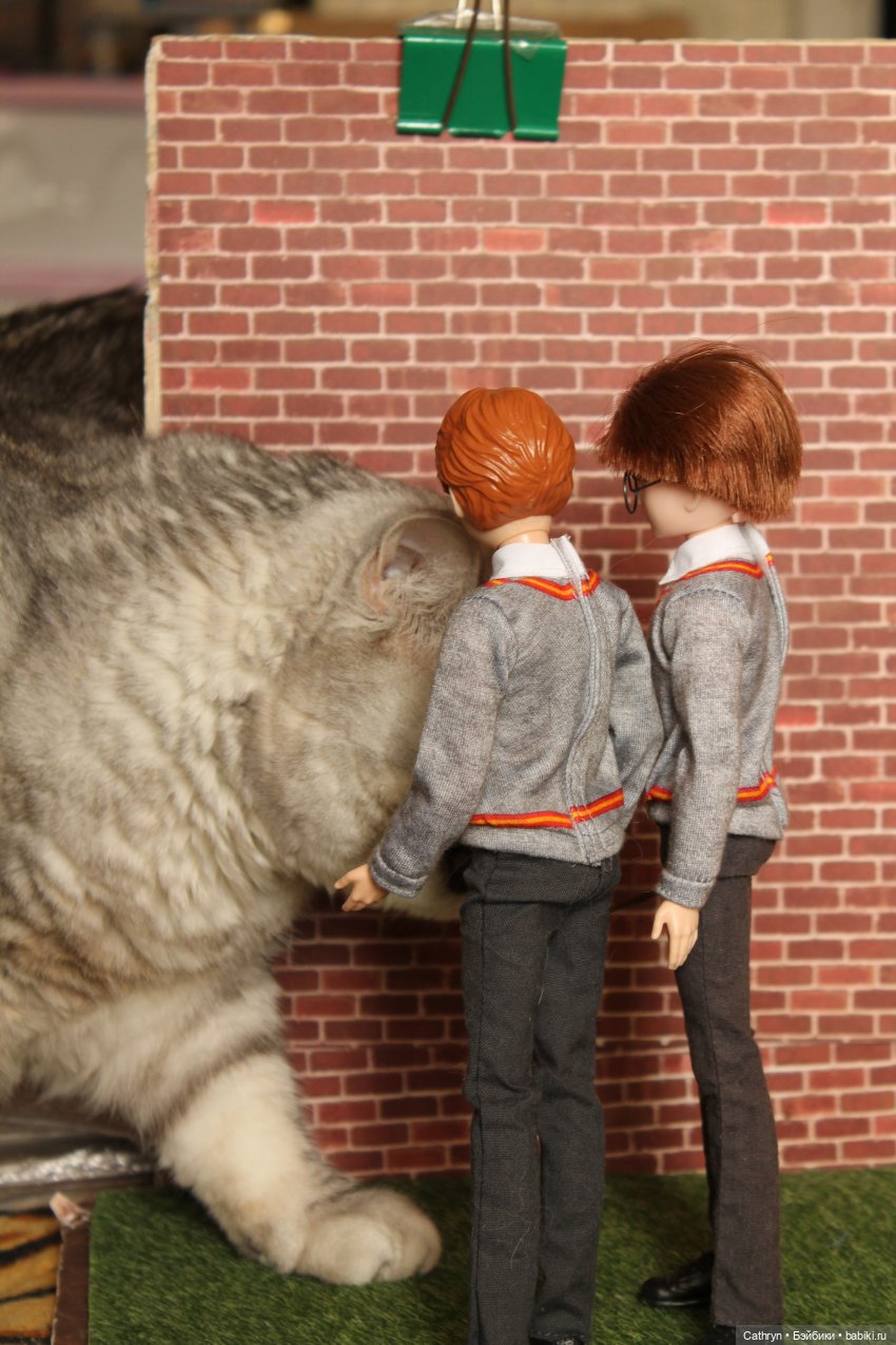 Изучение магических существ или подарок для Джинни