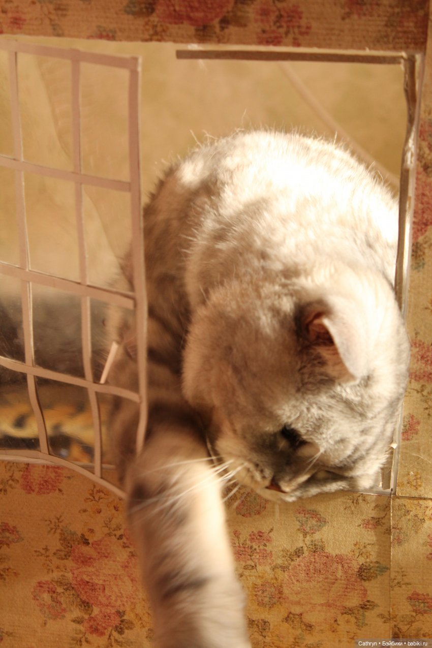 Изучение магических существ или подарок для Джинни