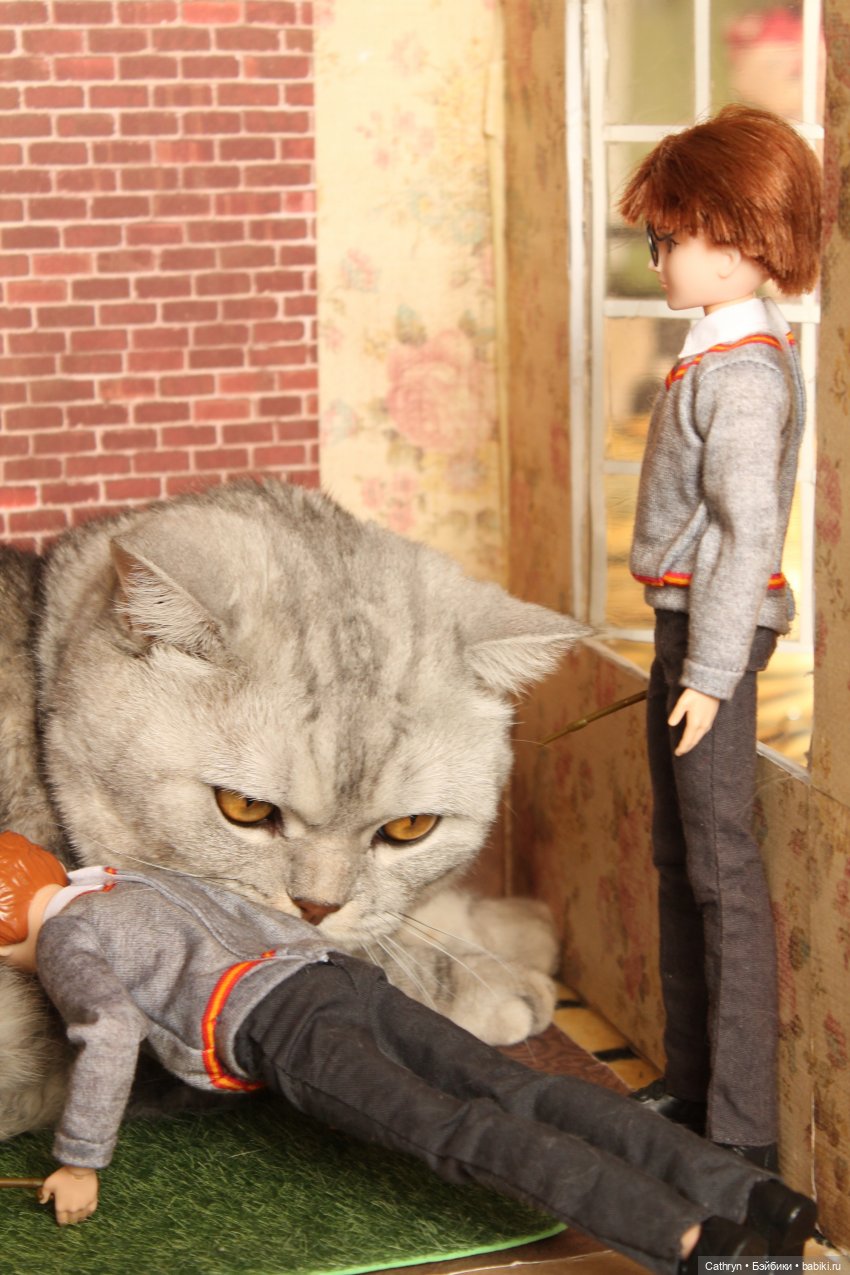 Изучение магических существ или подарок для Джинни