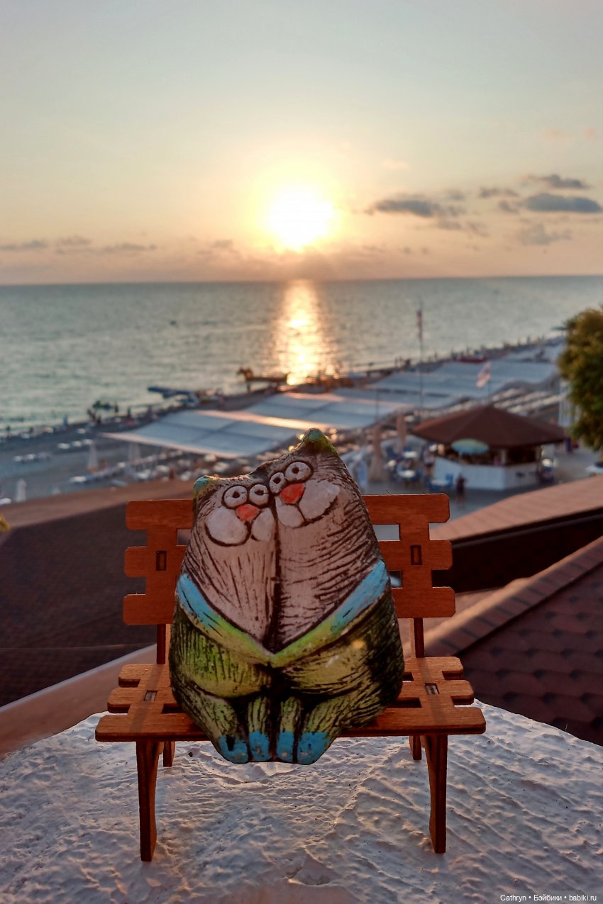 😻С днём котиков😻 — Туризм и путешествия: фотоотчеты из поездок