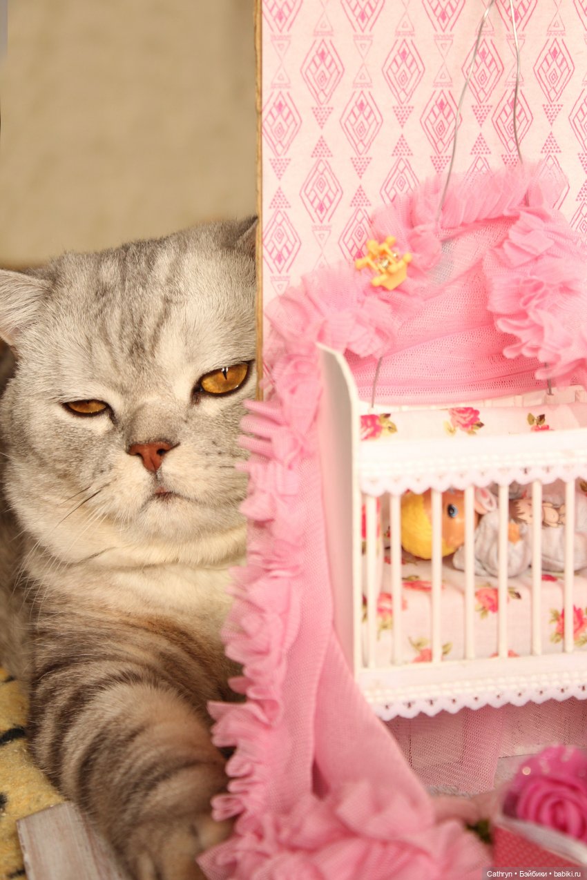 Утро маленькой принцессы 👑🍼