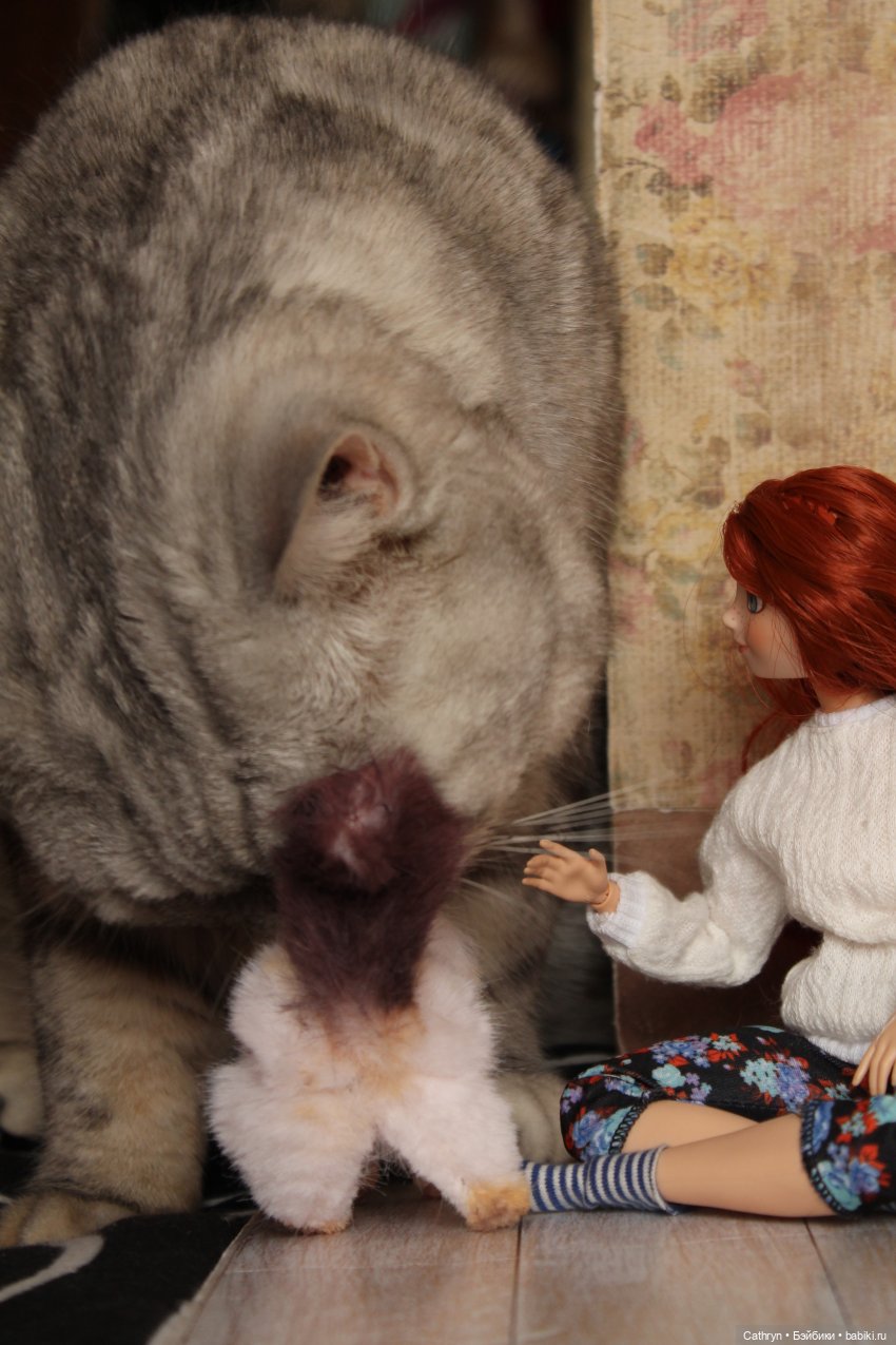 Уютная осень)🍁📚☕🐱 — Куклы Disney Animators и Принцессы Диснея: Disney Store