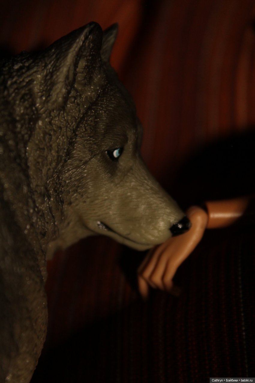 Записки ведьмы (2) — Кукольные фотоистории и сериалы: комиксы (фото 9)