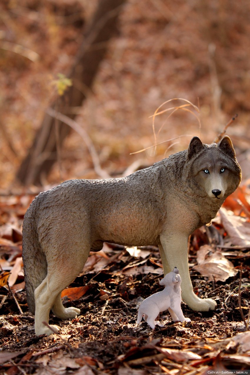 Записки ведьмы (4) — Кукольные фотоистории и сериалы: комиксы (фото 2)