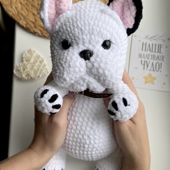 Мой новый бульдожик