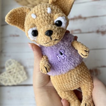 Малыш чихуашик😍