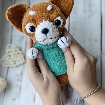 Новый малыш чихуа