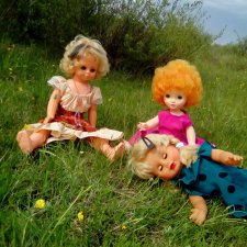 Поездка на природу с куклами