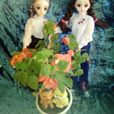 Шарнирные куколки Аделина  и  Эльмира .