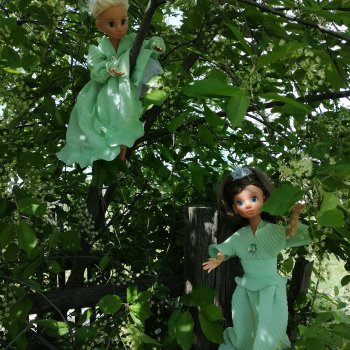 Как на празднике Троицы мы гуляли... в  огороде.