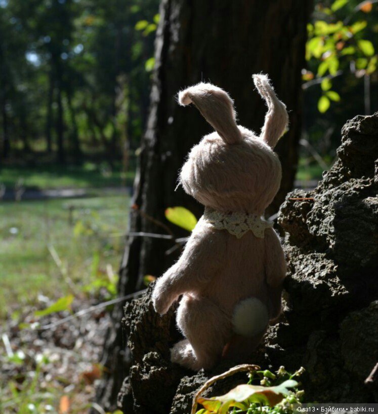 В стране чудес — Болталка и разговоры обо всем: жизнь