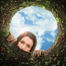 В стране чудес