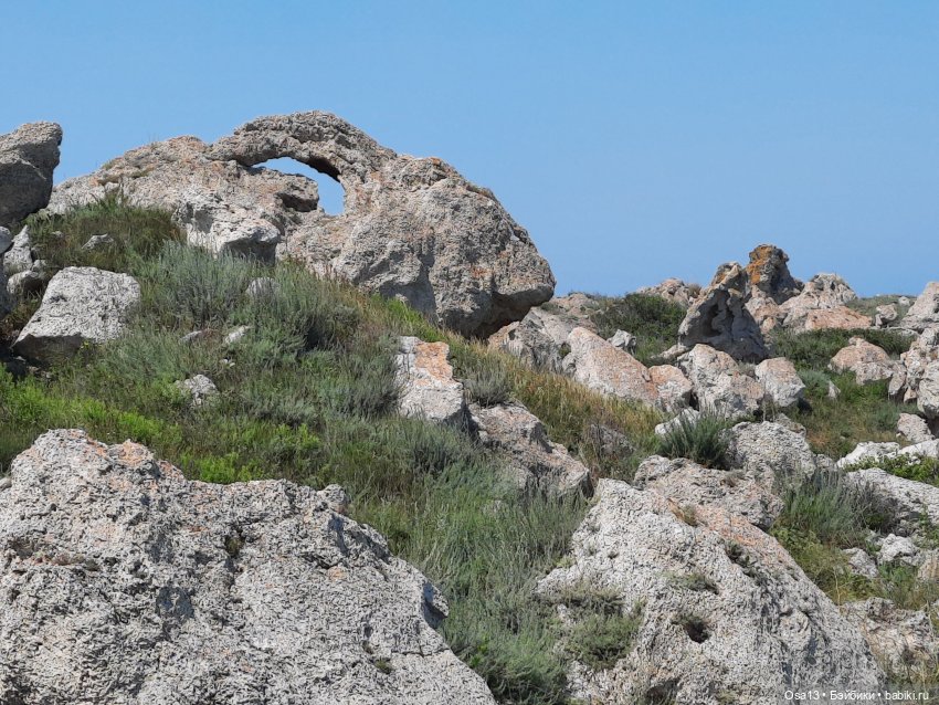 Капуцина на Генеральских пляжах