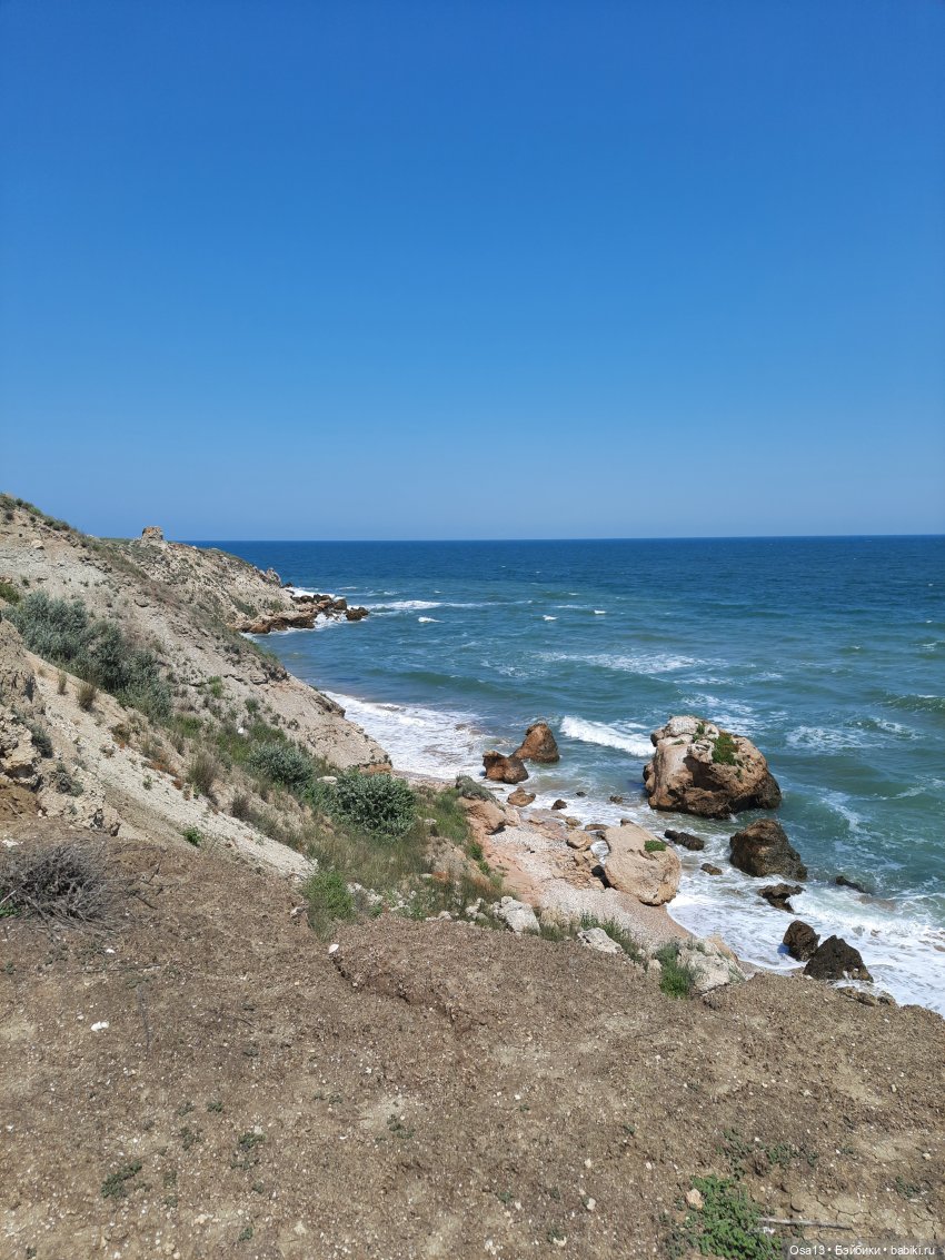 Капуцина на Генеральских пляжах (фото 3)