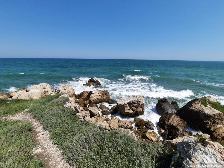 Капуцина на Генеральских пляжах (фото 2)