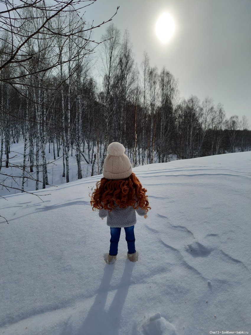 Погуляли — Куклы Ruby Red (Руби Ред) Fashion Friends: Siblies (фото 5)