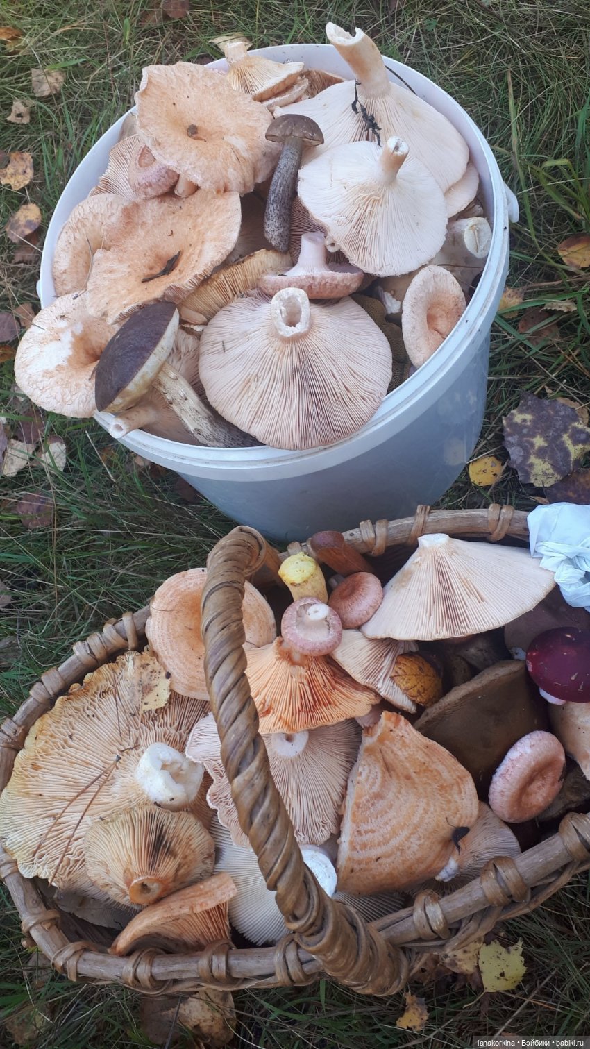 Грибные дела — Куклы Nines d'Onil (Нинес): Миа (Mia) (фото 6)