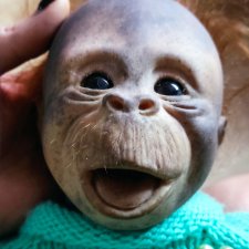 Обезьянка молд оригинал